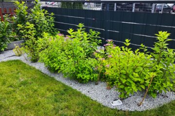 1752944995317-crop-img-20250620-154029