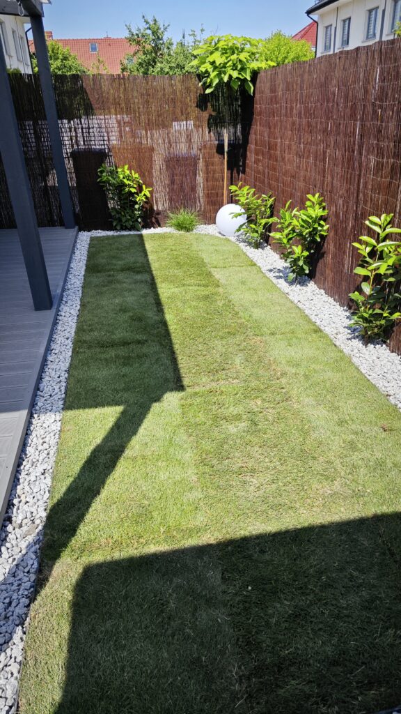 ogrody wrocław trawnik z rolki