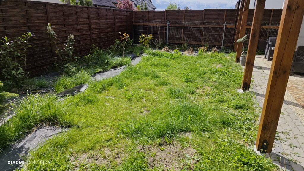 trawa z rolki wroclaw