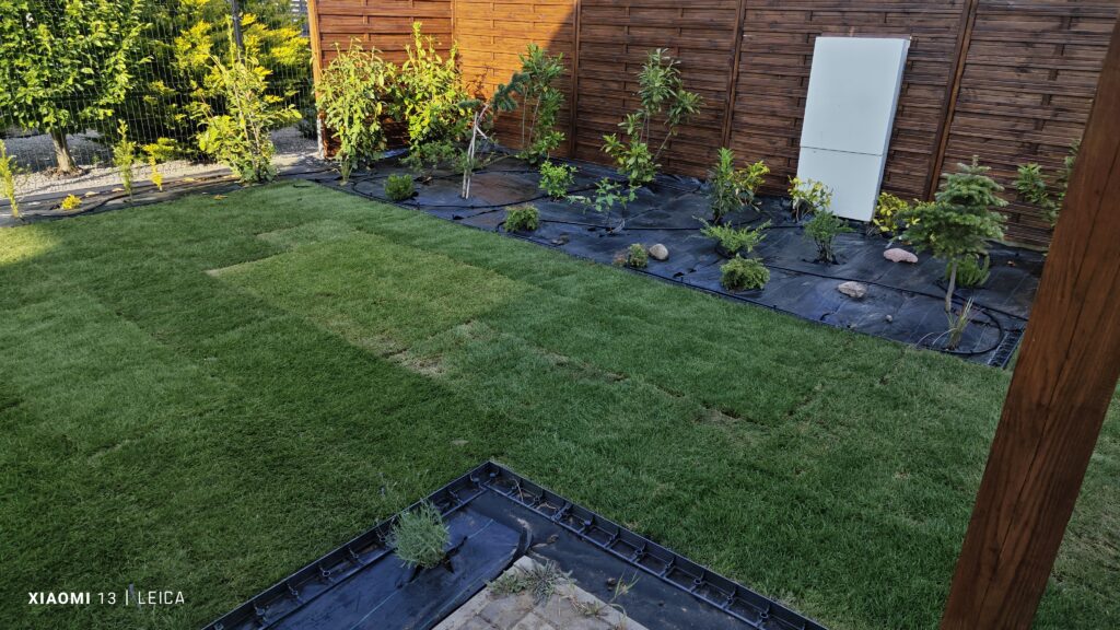 trawa z rolki wroclaw