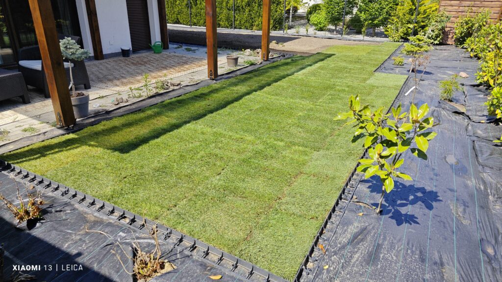 trawa z rolki wroclaw