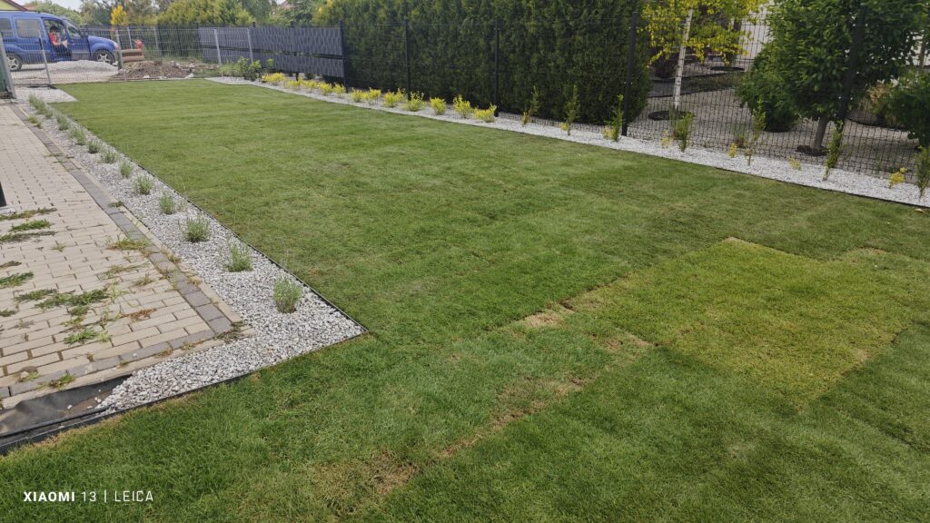 trawa z rolki wroclaw